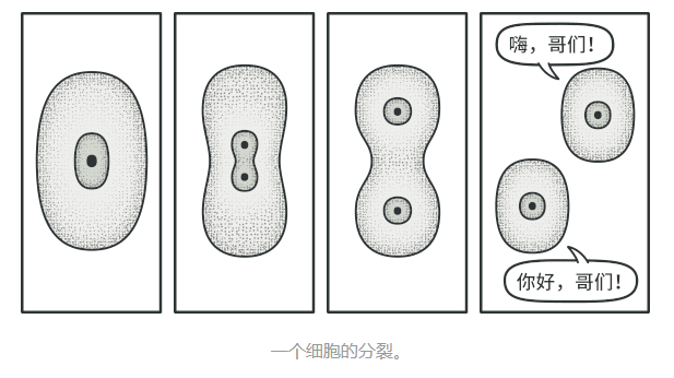 image-20210527112755240